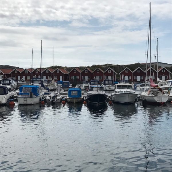 Hamn