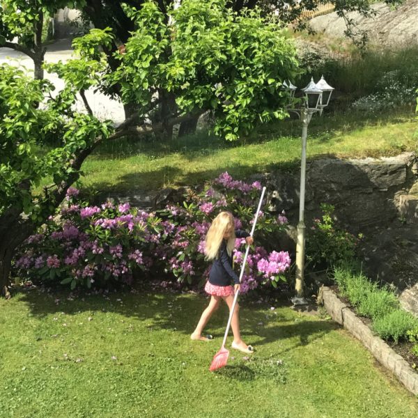 Lila sommar