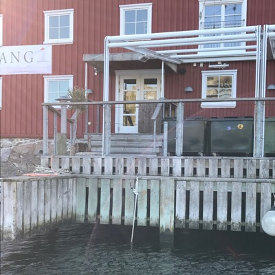 Magasinet