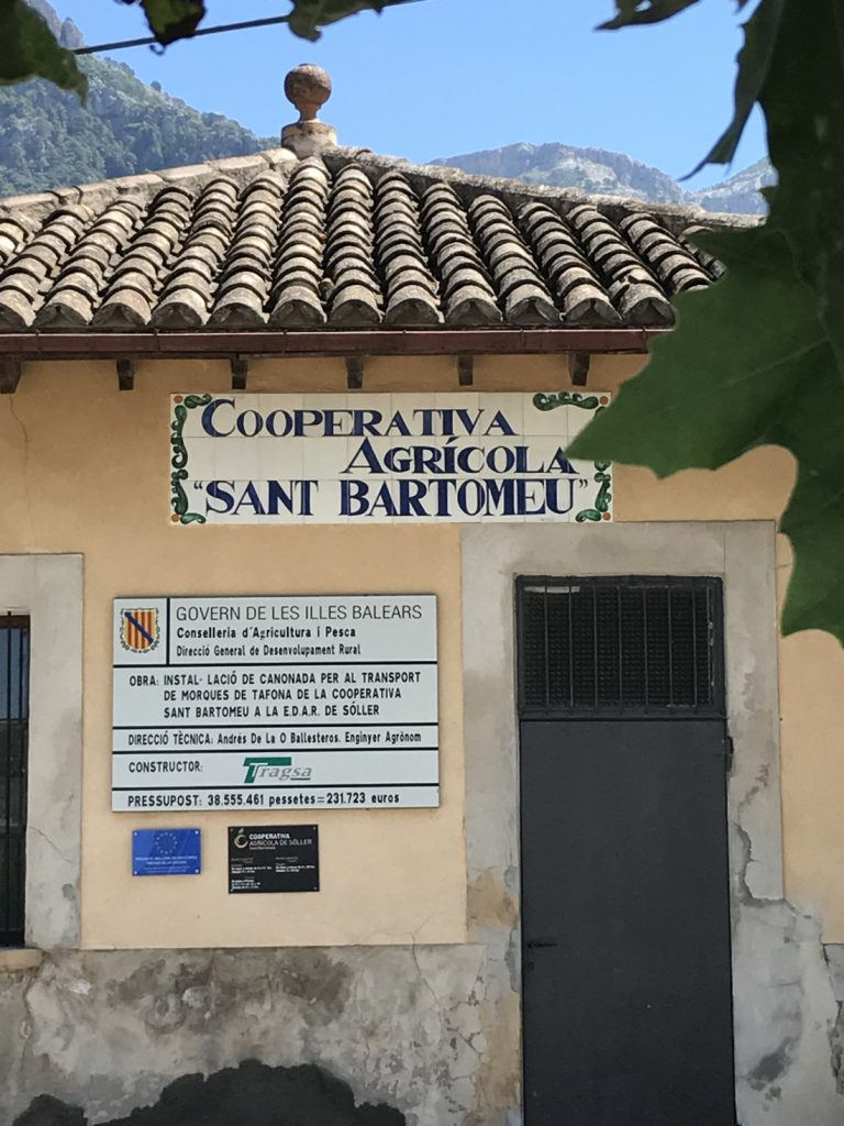 Kooperativ Mallorca 