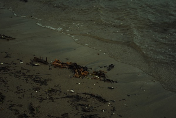 Stranden nu