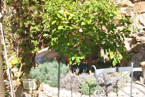 Rabattplock Port de Soller