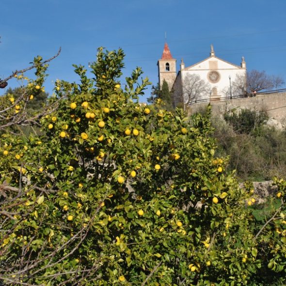 Galilea Mallorca