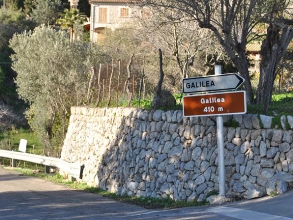 Galilea Mallorca