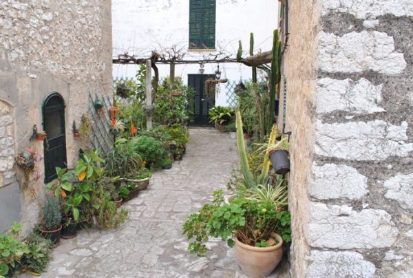 Mallorcas fina natur