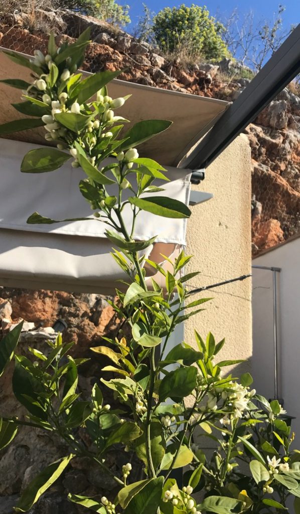 Tillbaka till Mallorca