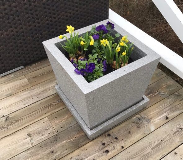 Vill fixa med blommor