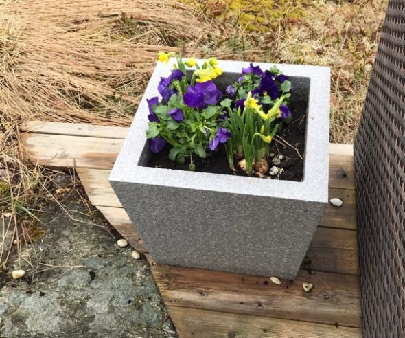Vill fixa med blommor