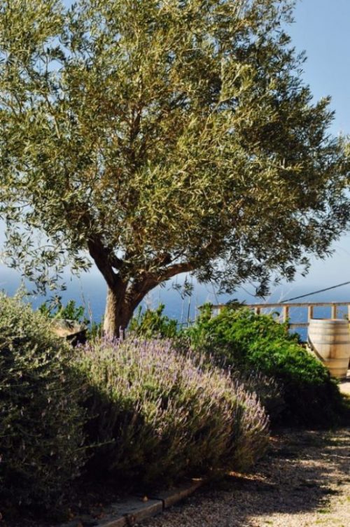 Mallorca