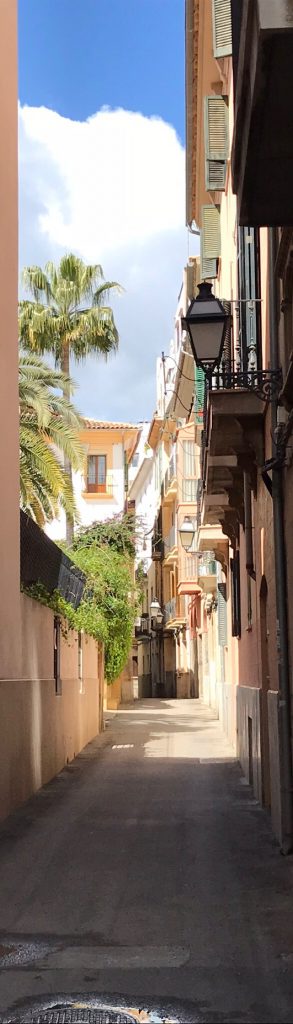 Palma i ett par dagar