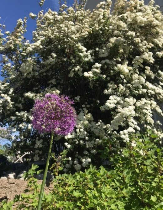 Dagarna springer fort