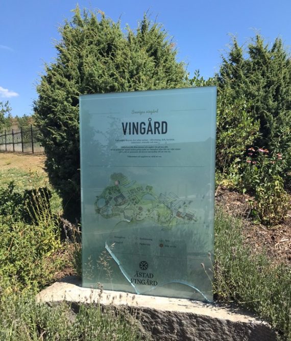 Ästad vingård 