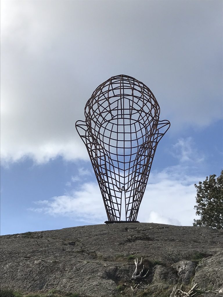 Hjärnan och planeten