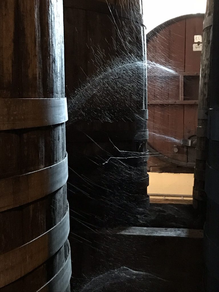 Vintunnor o spindelväv 