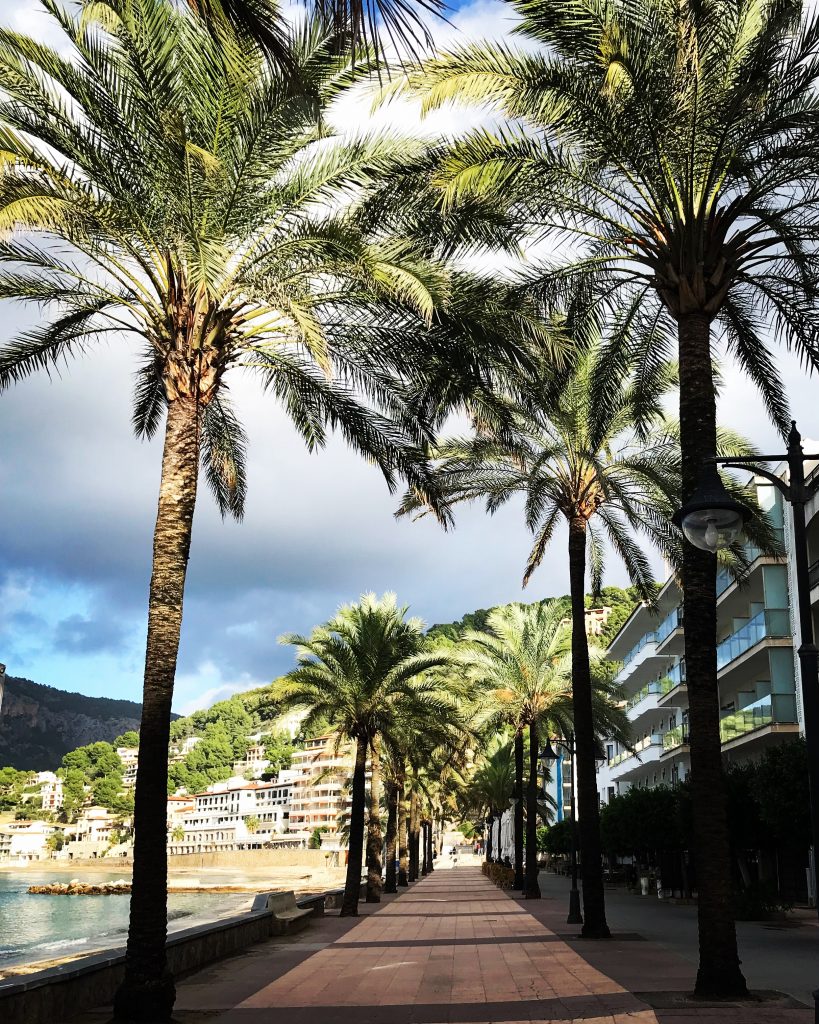 Port de Soller november