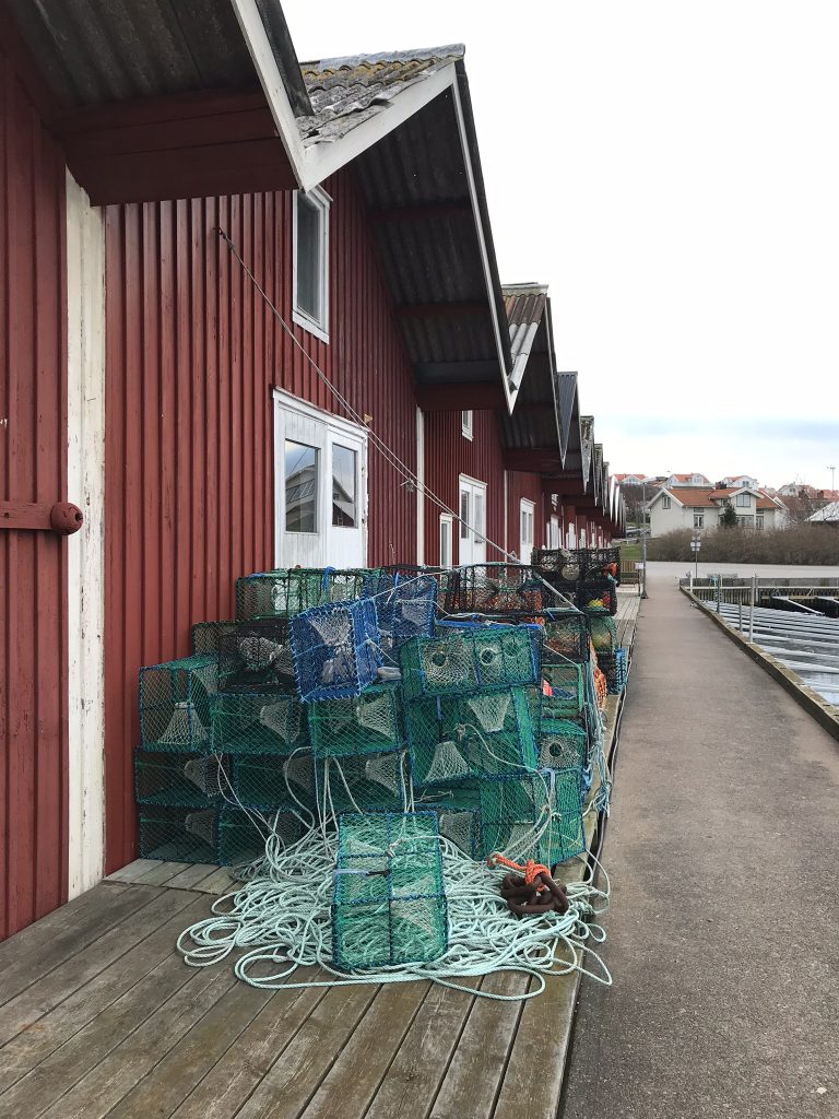 Västkusten