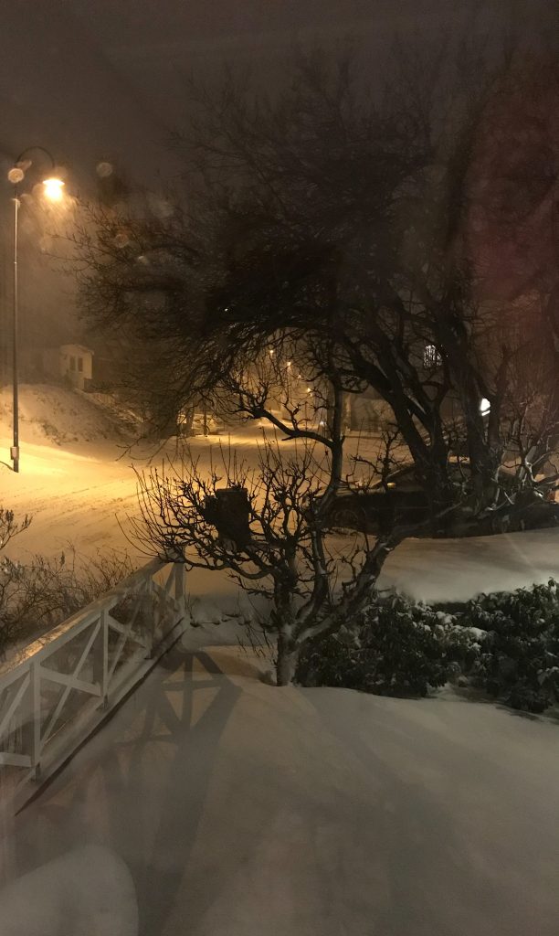 Vinter i Sverige