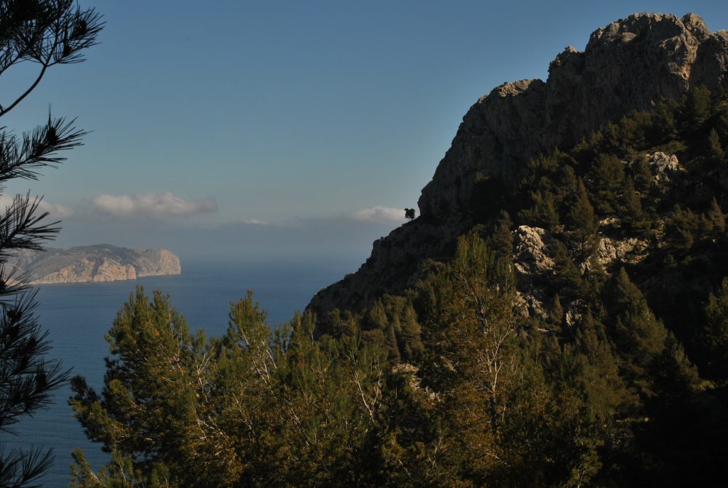 Bergsvandring vid Alcudia