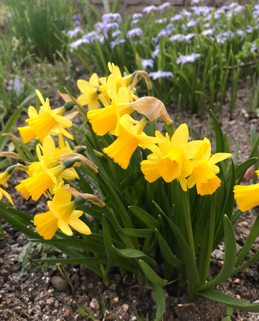 Vårbesök i Sverige