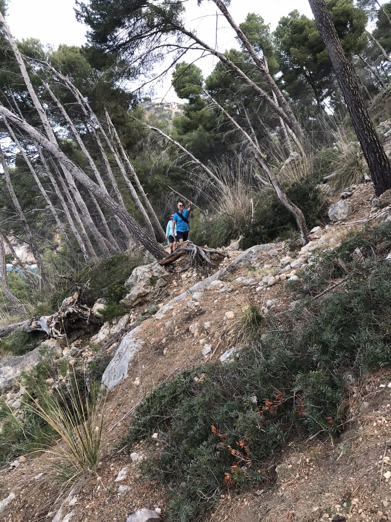 En Mallorcavandring