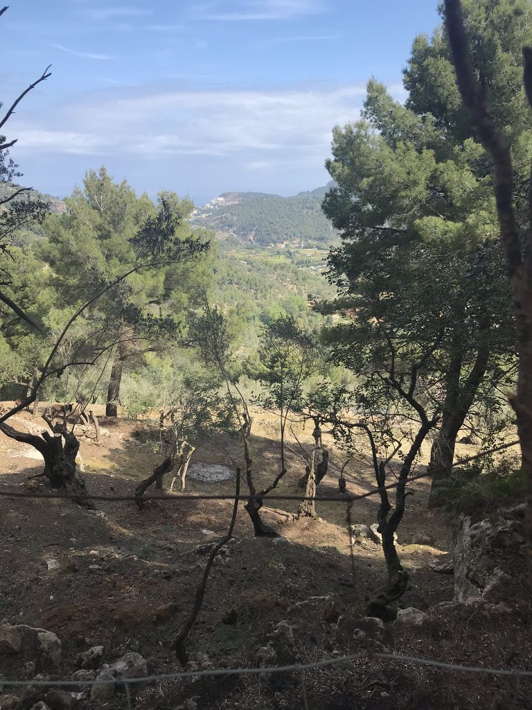 Vandring på Mallorca