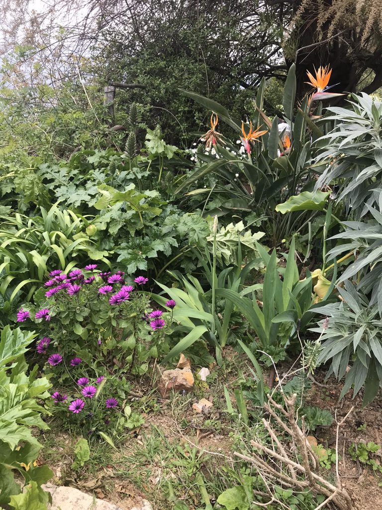 Mallorca i april