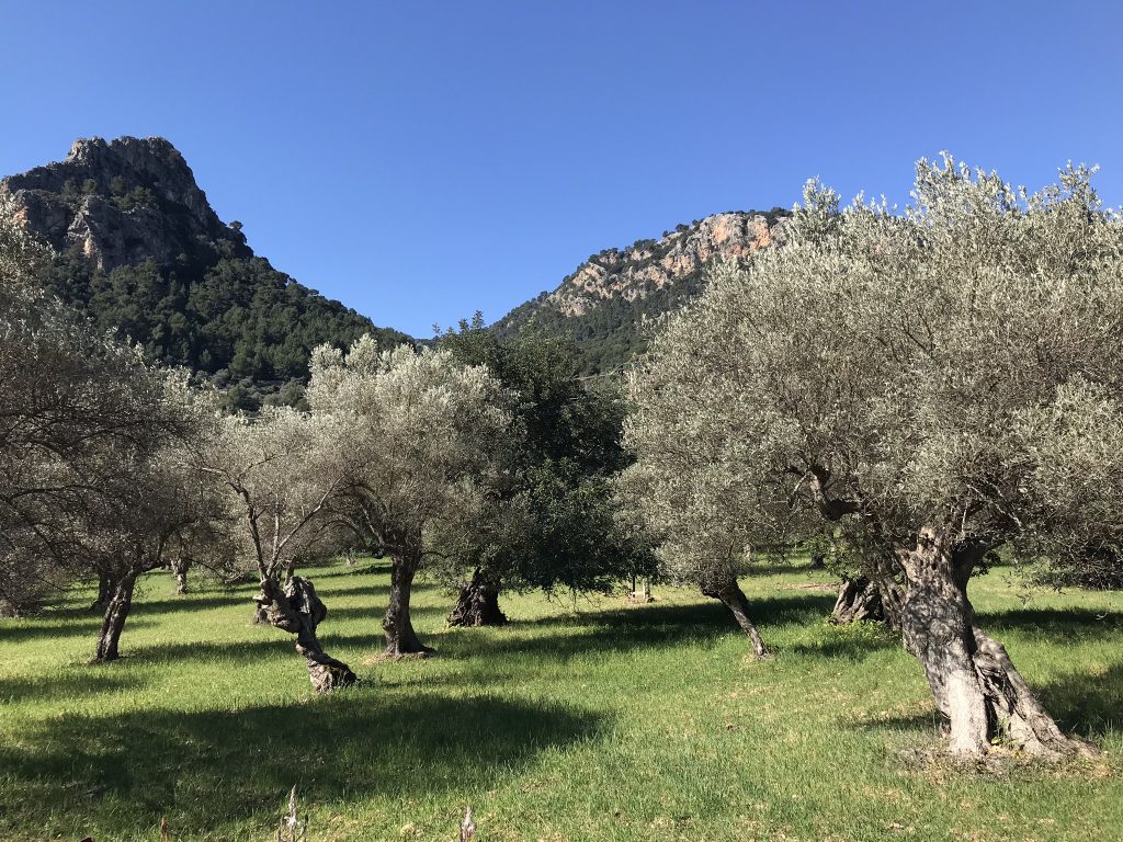 Mallorca i april