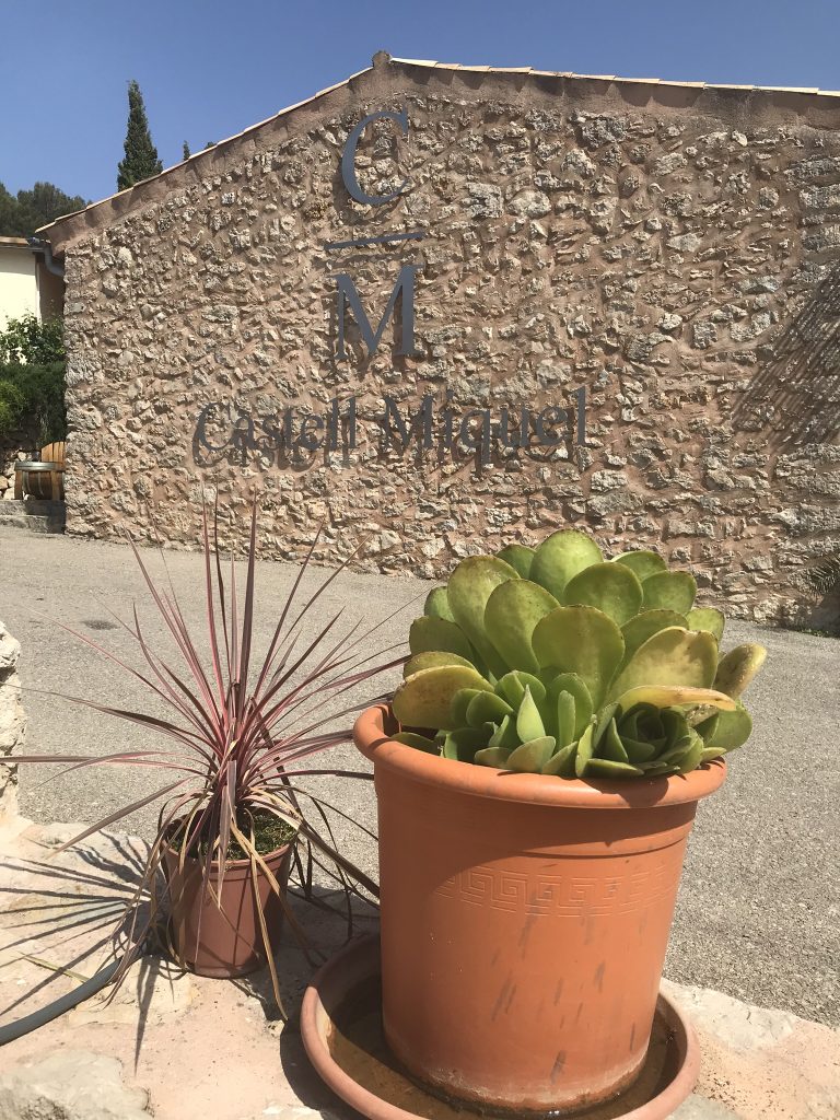 Mallorcautflykt med kompisar