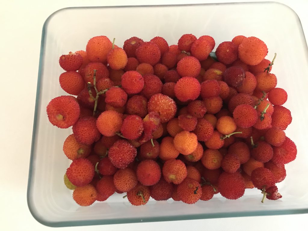 Mallorca och smultronträd 