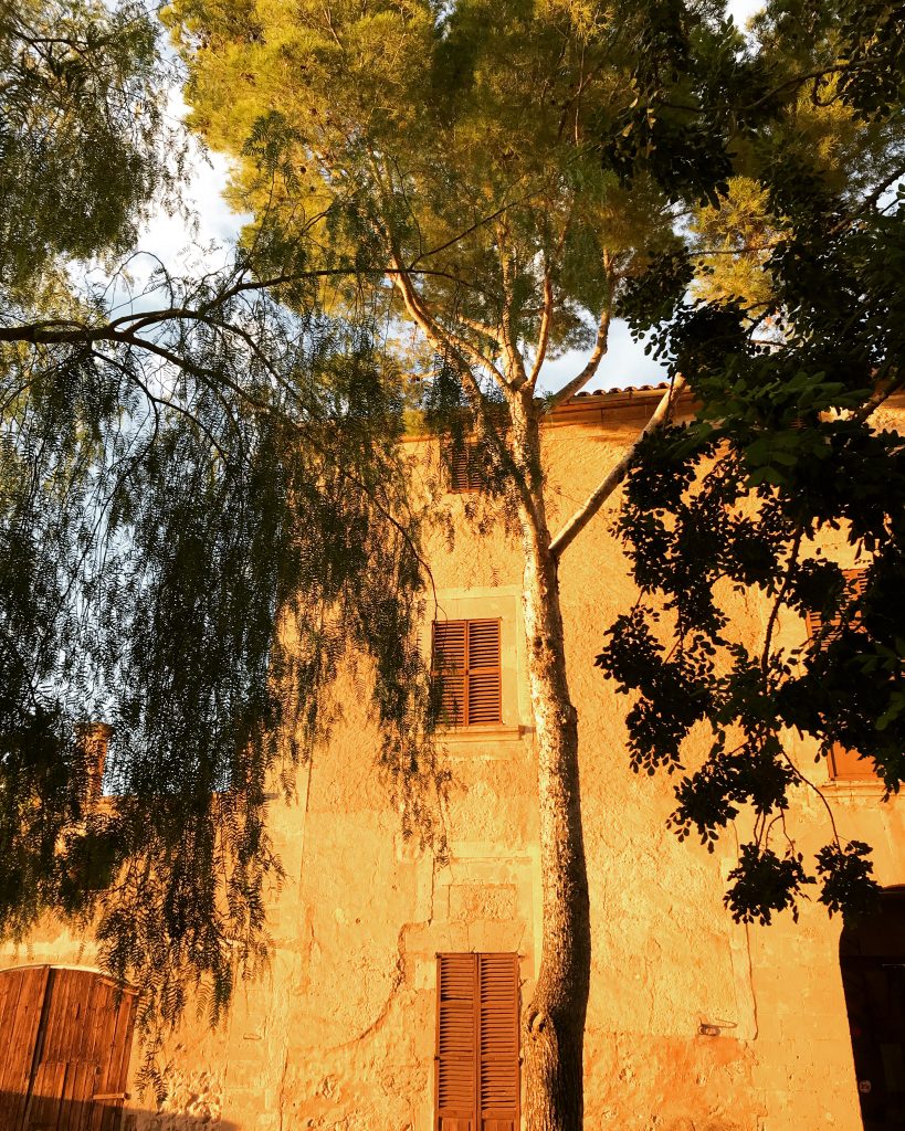 Mallorca snart tillbaka