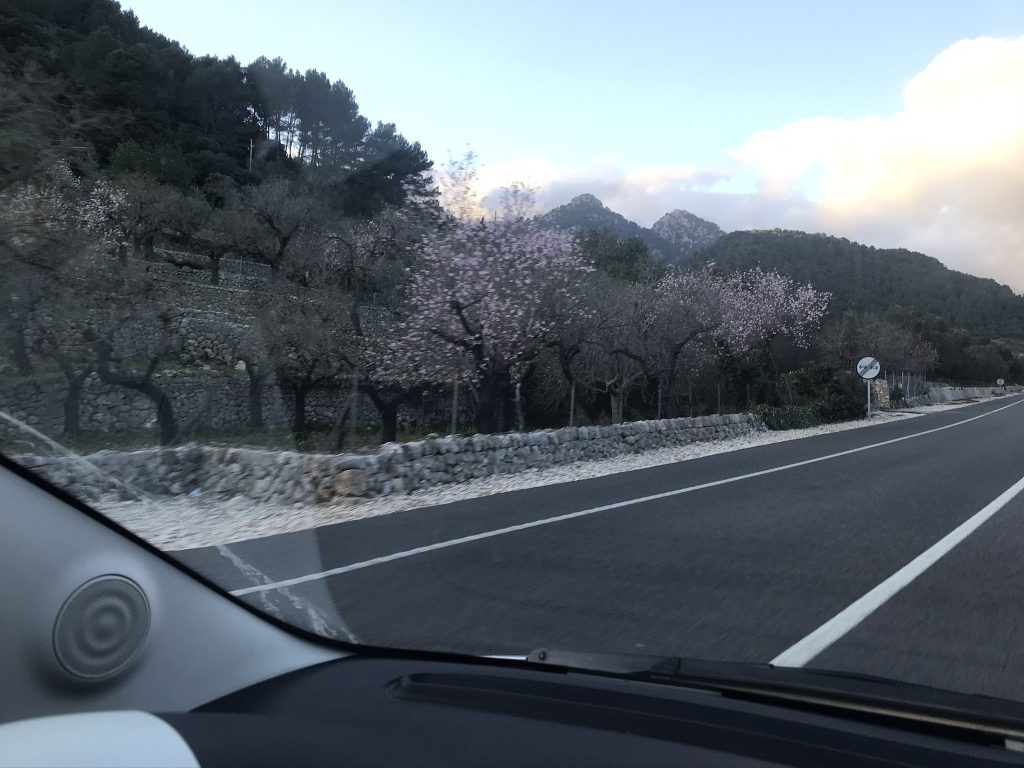 Mallorca kort stopp 