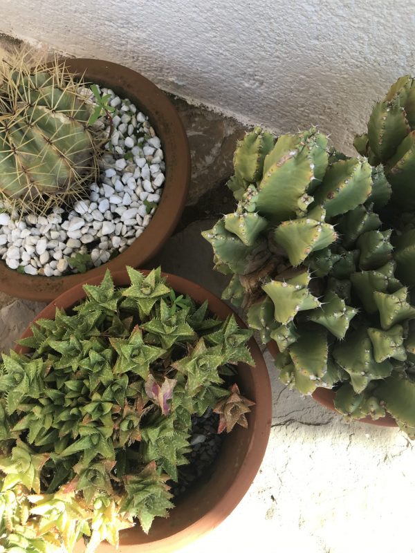 Mallorca nu packar jag