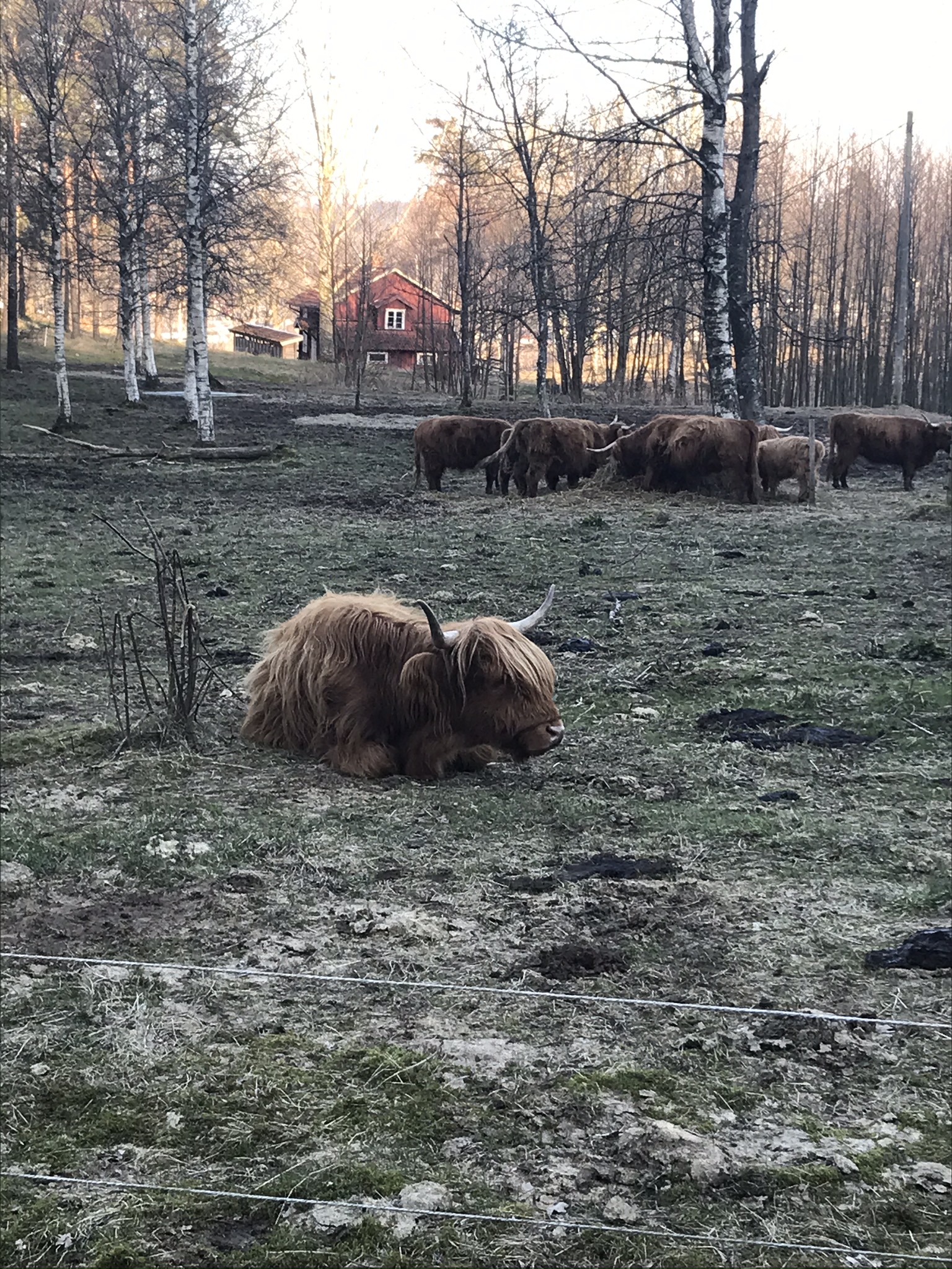 Promenader och vandringar