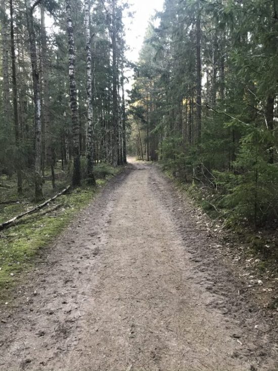 Promenerar och vandrar 