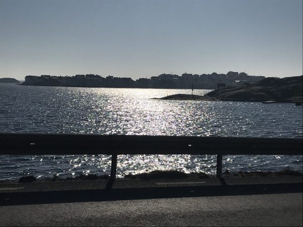 Promenerar och vandrar