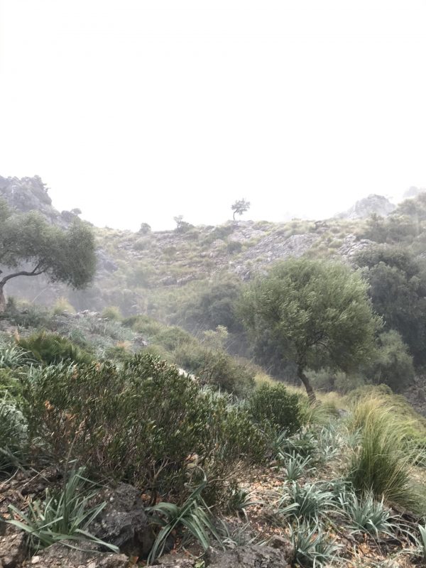 Vandringar på Mallorca 