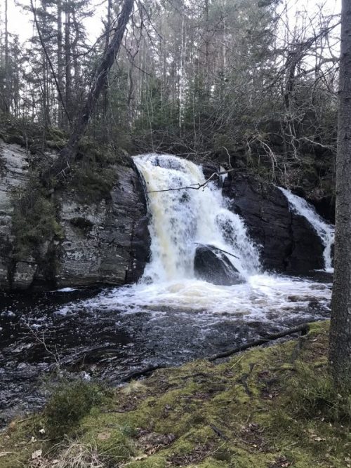 Promenader och vandringar 