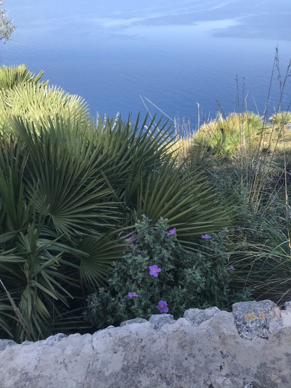 Mallorca byts mot Sverige 