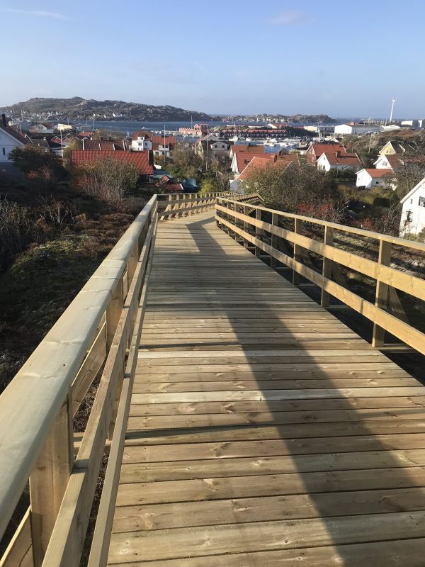 Utflykter på Tjörn 