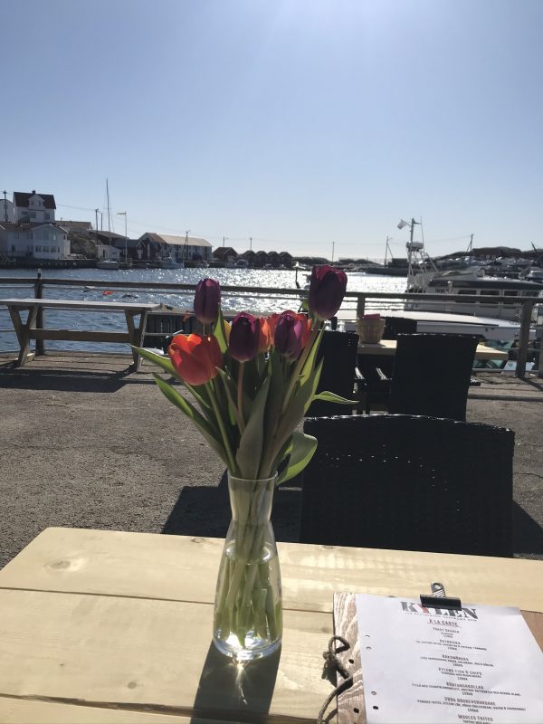 Utflykter på Tjörn