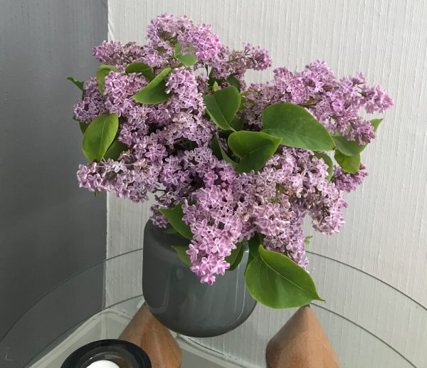 Sommarblommor 