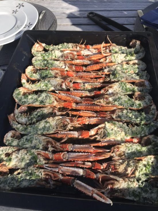 Gratinerade kräftor