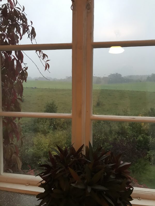 Tips på härlig Skåneweekend