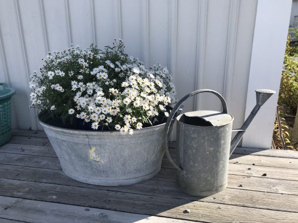 Hur påverkar pandemin oss 