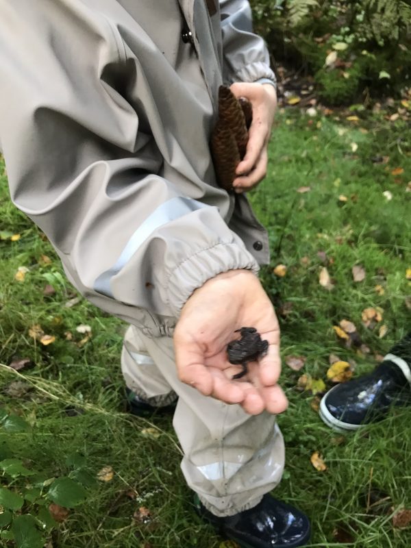 Med barnbarn i skogen
