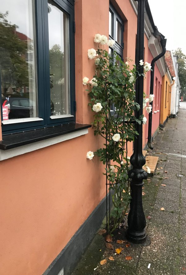 Tips på härlig Skåneweekend