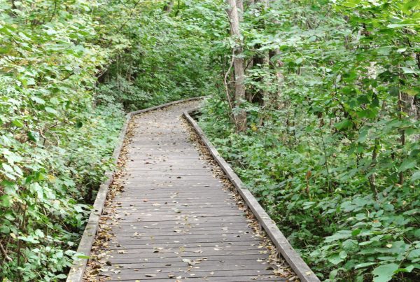 Tips på härlig Skåneweekend