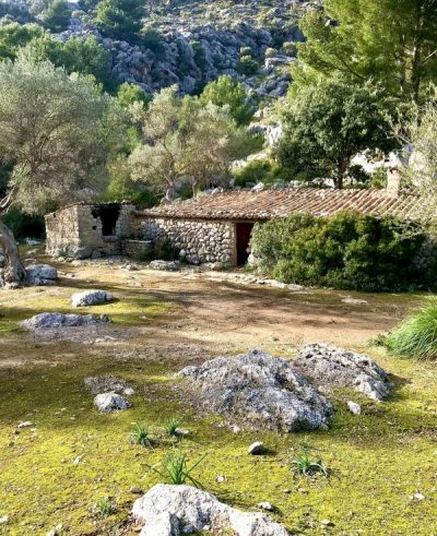 1 februari på Mallorca 