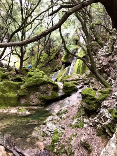 Pandemi-livet på Mallorca