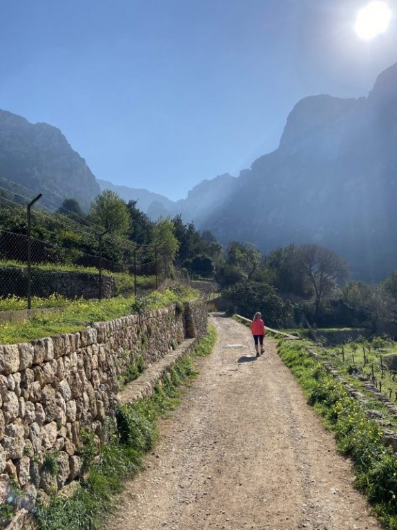 Det ensamma Mallorcalivet 